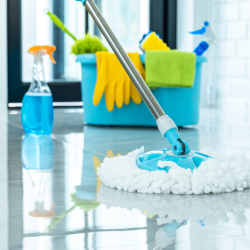 cleaning-portfolio (1)